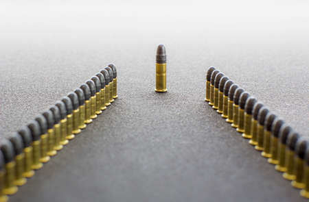 Two rows  of cartridges. An order and a chief.の写真素材