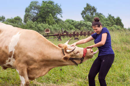 Smiling woman and a cow in a meadow with agricultural machinery in summer timeの写真素材