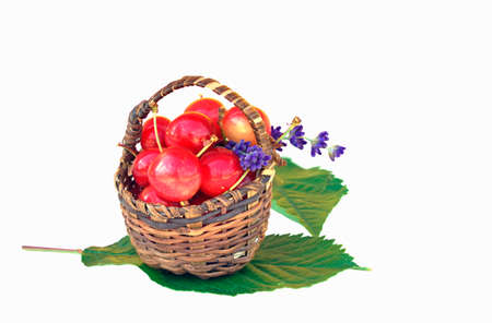 Close view of  small basket with red cherries isolated on  a white backgroundの写真素材