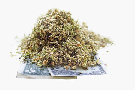 Dried hemp leaves and seeds on one dollar banknotes in a white backgroundの写真素材
