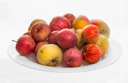 White plate with ecological apples in a white background