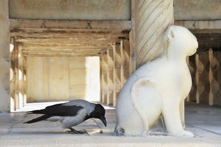 Crow and predator sculpture in Iranの写真素材