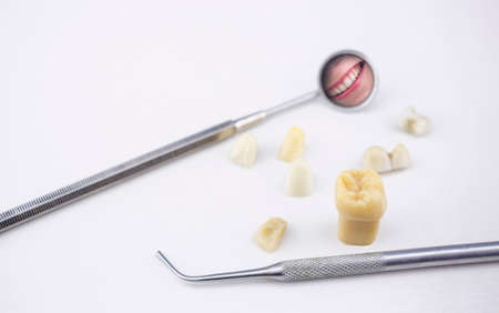 Dentist's tools, tooth model, ceramic teeth and girl's smile in a mirror on a white backgroundの写真素材