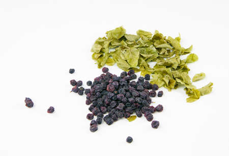 Dried blueberries and dried blueberries leaves on a white backgroundの写真素材