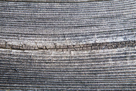 Old wood board in macro for backgroundの写真素材