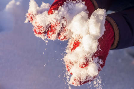 Female shows her hands with red snowy glovesの写真素材