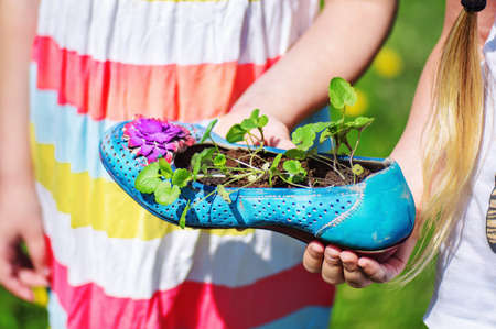 The hands of  two girls holding  an old, decorated and colored female shoe with a plant planted there.の写真素材
