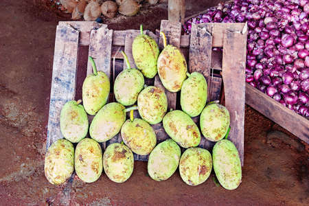 Coconuts triangle in Sri Lanka marketの写真素材