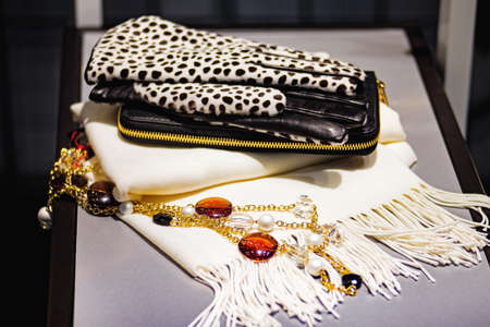 Wallet, gloves, scarf and women's jewelry on the shelf. Close up.の写真素材