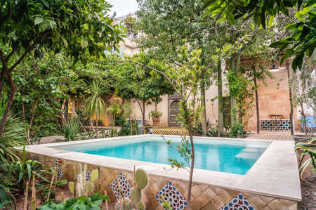 Pool with a blue water and various plants around it near the house