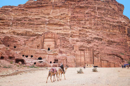 Two camels in an ancient abandoned rock city of Petra in Jordan. Petra is one of the New Seven Wonders of the World.の写真素材
