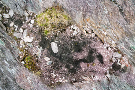 Colorful rock with grass and soil. Close up. Top view.