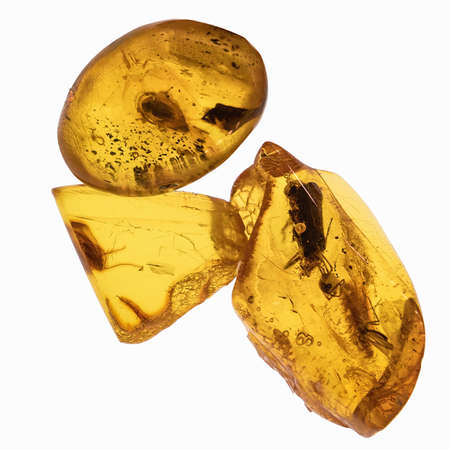 Piece of amber with insects inclusions. Isolated on white. Close up.の写真素材