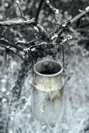 Small painted aluminum churn on the branch of an old tree. Close up.の写真素材