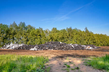 Polyethylene dump on the forest edge. Ecological concept.