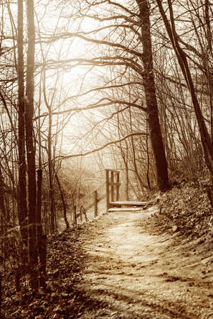 Wooden stairs in an autumn park near the river. Sepia.の写真素材