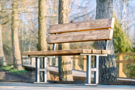 Wooden bench in the park on sunny autumn day. Close view.の写真素材