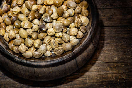 Hemp seeds in the metal plate. Close up.の写真素材