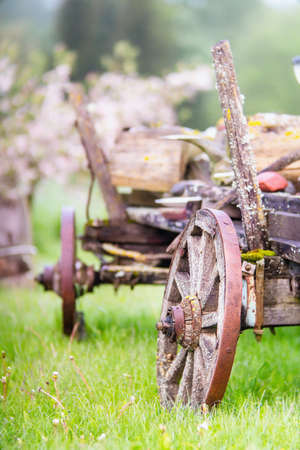 Old wooden wagon with rusty wheels on the grass in spring. Close view.の写真素材