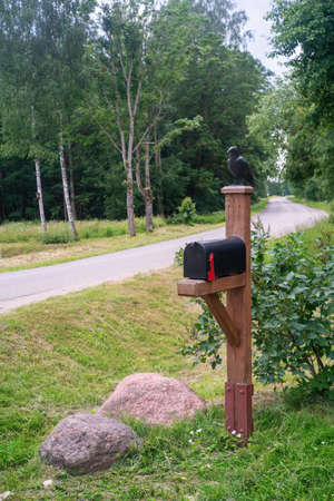 Black postbox with crow near the road. Close view.の写真素材
