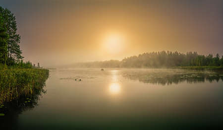 Beautiful foggy sunrise on the lake in autumn. Lithuania.の写真素材