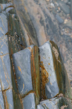 Wet rokcs and sand on low tide. Close view.