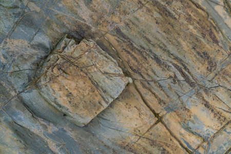 Shiny colorful wet rock a on low tide. Close view.