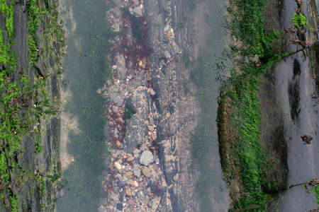 Wet rokcs  and water with small stones a on low tide. Close view.