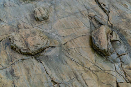 Shiny colorful wet rock a on low tide. Close view.