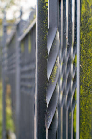 Metallic fence with moss and spider web. Close up.