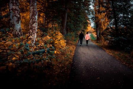 nice autumn day int he fall. a fall day in Falkenberg Sweden. nice red leaf