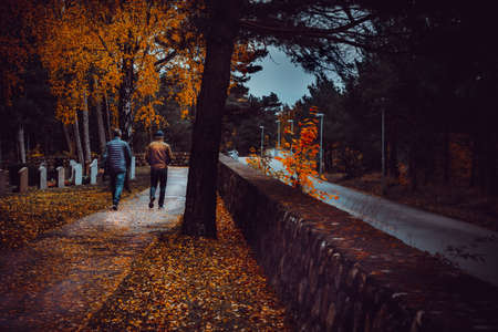 nice autumn day int he fall. a fall day in Falkenberg Sweden. nice red leafの写真素材