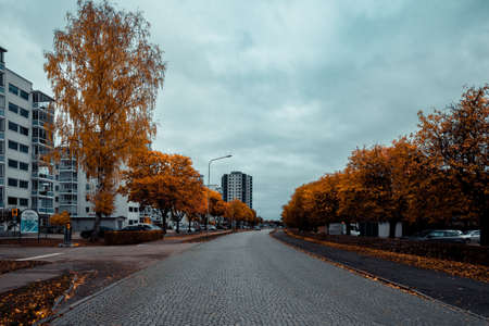 nice autumn day int he fall. a fall day in Falkenberg Sweden. nice red leafの写真素材