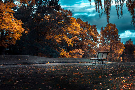 nice autumn day int he fall. a fall day in Falkenberg Sweden. nice red leafの写真素材