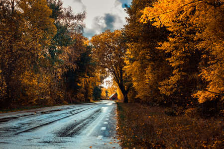 nice autumn day int he fall. a fall day in Falkenberg Sweden. nice red leafの写真素材