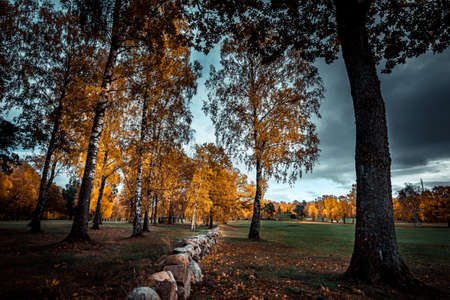 nice autumn day int he fall. a fall day in Falkenberg Sweden. nice red leafの写真素材