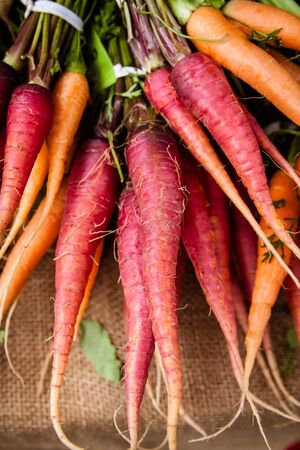 Close up of multi-colored carrotsの写真素材