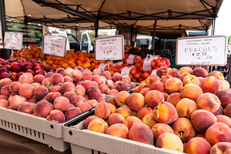 Display of different varieties of peaches at the farmer s market の写真素材