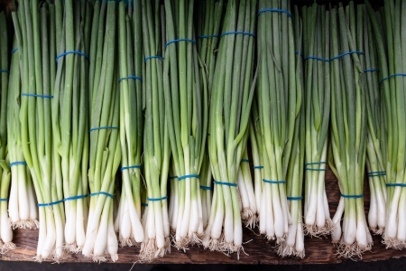 Green onionsの写真素材