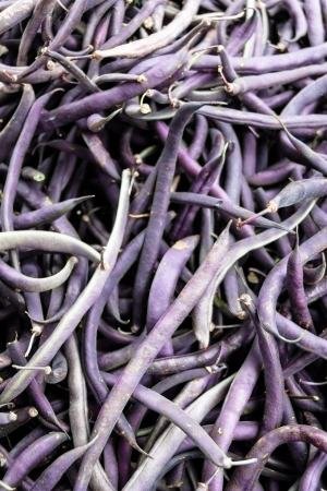 An abundance of purple string beans at the farmer s market  の写真素材