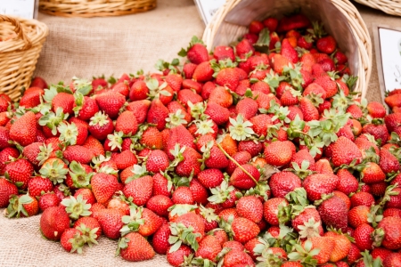 Red ripe strawberries spilling out of a basket