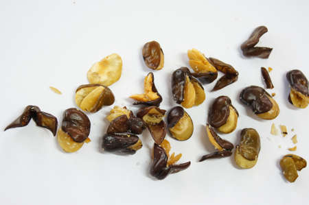 nuts on white background 