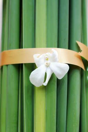 Orchid pinned with ribbon on green leaves for wedding ceremony  の写真素材