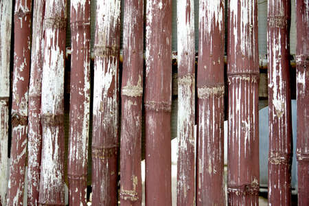 Old bamboo fence backgroundの写真素材