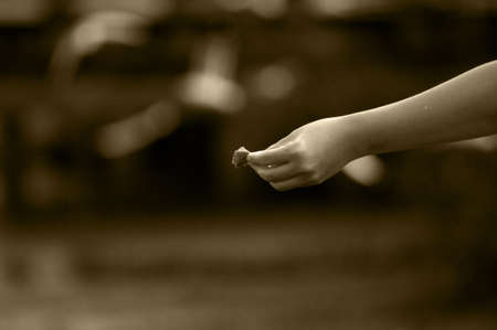 Food in hand, waiting for feeding the birds -Black and white