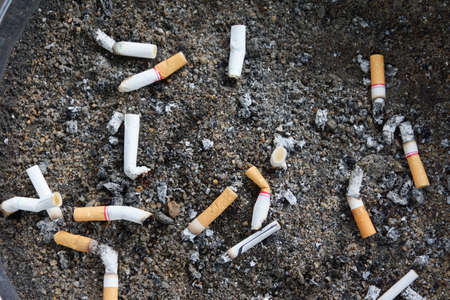 Cigarette in Trashの写真素材