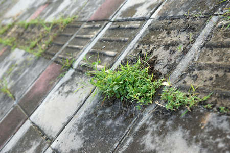 Abandoned blind wayの写真素材