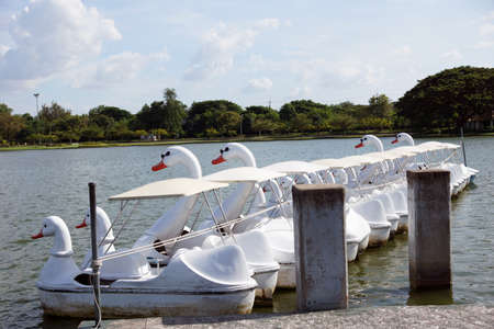 Swan pedals boatsの写真素材