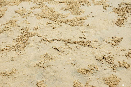Background of beach crab markingsの写真素材