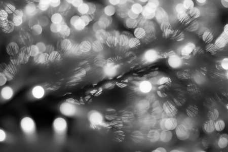 Blurry of Christmas LED lights decoration as abstract background - black and whiteの写真素材